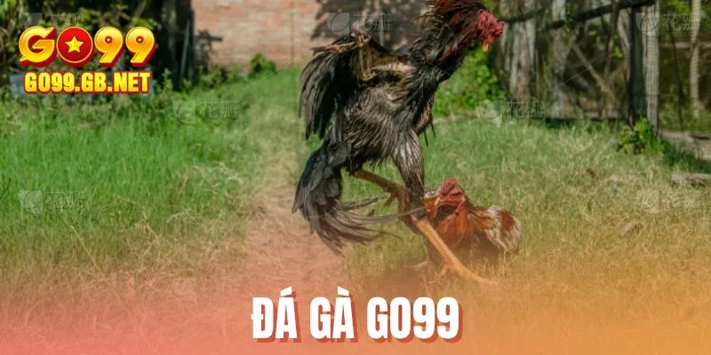Đá Gà GO99